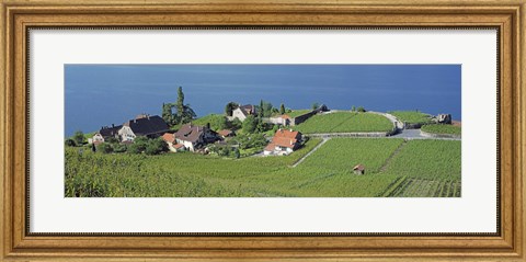 Framed Aerial View Of Vineyards By A Lake, Lake Geneva, Vaud, Switzerland Print