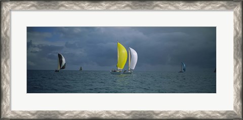 Framed Sailboat race Key West, Florida Print