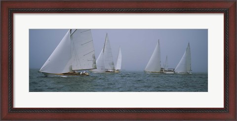 Framed Sailboats at regatta, Newport, Rhode Island, USA Print