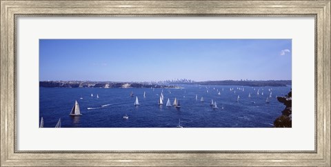 Framed Yachts in the bay, Sydney Harbor, Sydney, New South Wales, Australia Print