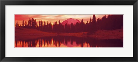 Framed Reflection of trees in water, Tipsoo Lake, Mt Rainier, Mt Rainier National Park, Washington State, USA Print