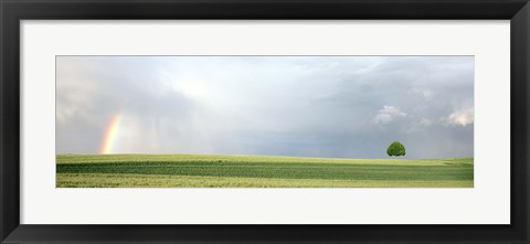 Framed Rainbow and storm clouds over a field, Zurich Canton, Switzerland Print