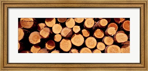Framed Logs Print