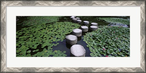 Framed Water Lilies In A Pond, Helan Shrine, Kyoto, Japan Print