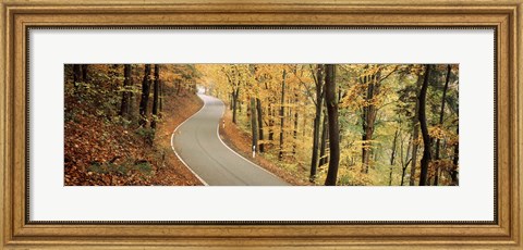 Framed Autumn trees along a road, Germany Print