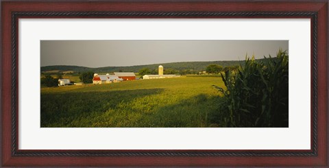 Framed Crop in a field, Frederick County, Virginia, USA Print