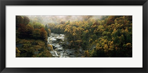 Framed High angle view of trees in a forest, Simplon Pass, Switzerland Print