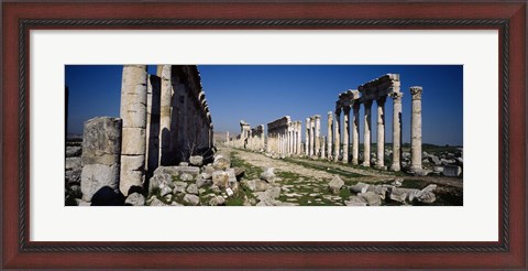 Framed Old ruins on a landscape, Cardo Maximus, Apamea, Syria Print