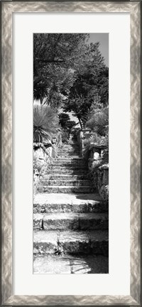 Framed Low angle view of steps in a garden, Neptune&#39;s Steps, Tresco Abbey Garden, Tresco, Isles Of Scilly, England Print