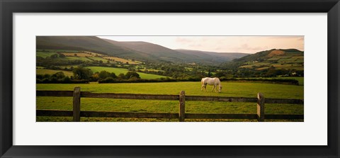 Framed Horse in a field, Enniskerry, County Wicklow, Republic Of Ireland Print