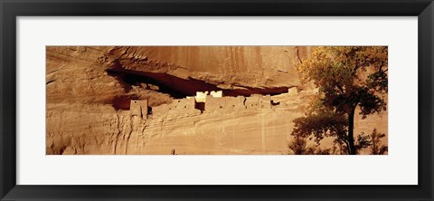 Framed Tree in front of the ruins of cliff dwellings, White House Ruins, Canyon de Chelly National Monument, Arizona, USA Print