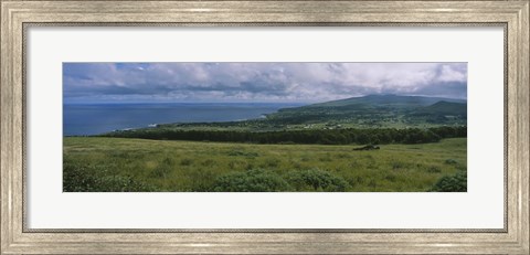 Framed High angle view of trees on a landscape, Easter Island, Chile Print