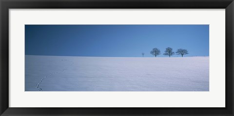 Framed Footprints on a snow covered landscape, St. Peter, Black Forest, Germany Print