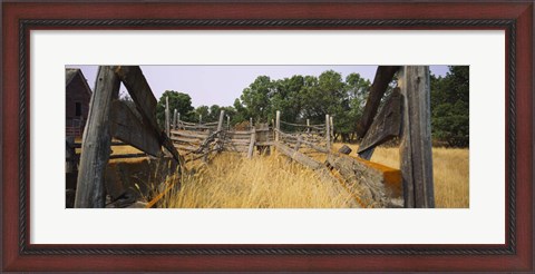 Framed Ranch cattle chute in a field, North Dakota, USA Print