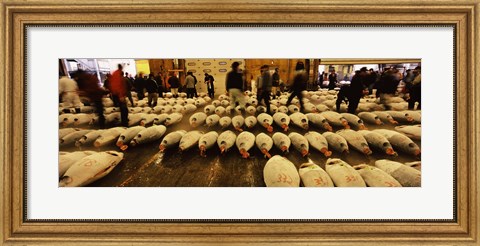 Framed Tuna auction at a fish market, Tsukiji Fish Market, Chuo Ward, Tsukiji, Tokyo Prefecture, Kanto Region, Honshu, Japan Print
