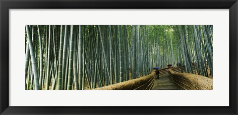 Framed Stepped walkway passing through a bamboo forest, Arashiyama, Kyoto Prefecture, Kinki Region, Honshu, Japan Print