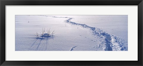 Framed Track on a snow covered landscape, Apennines, Emilia-Romagna, Italy Print