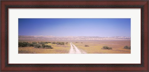 Framed Dirt road passing through a landscape, Carrizo Plain, San Luis Obispo County, California, USA Print