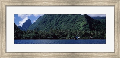 Framed Trees on the coast, Tahiti, French Polynesia Print