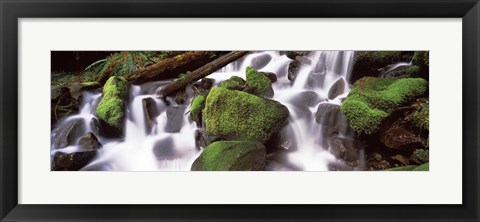 Framed Cascading waterfall in a rainforest, Olympic National Park, Washington State, USA Print