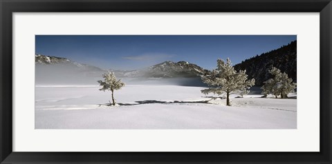 Framed Trees on a snow covered landscape, French Riviera, France Print