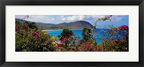 Framed Tropical flowers at the seaside, Deshaies Beach, Deshaies, Guadeloupe Print