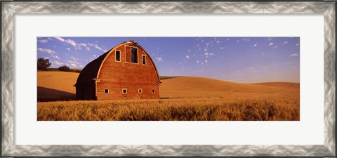 Framed Old barn in a wheat field, Palouse, Whitman County, Washington State Print