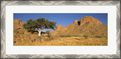 Framed Tree in the Namib Desert, Namibia Print