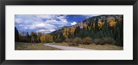 Framed Road passing through a forest, Jackson Guard Station, Ridgway, Colorado, USA Print