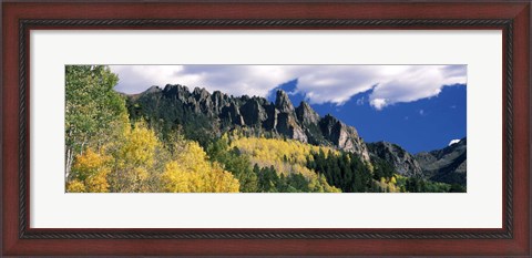 Framed Forest on a mountain, Jackson Guard Station, Ridgway, Colorado, USA Print