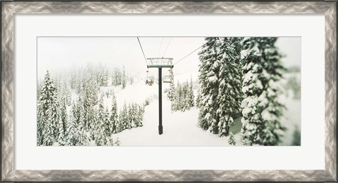 Framed Chair lift and snowy evergreen trees at Stevens Pass, Washington State, USA Print