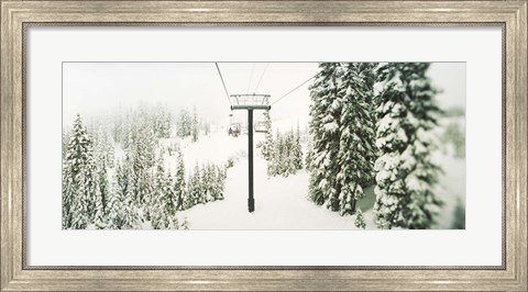 Framed Chair lift and snowy evergreen trees at Stevens Pass, Washington State, USA Print