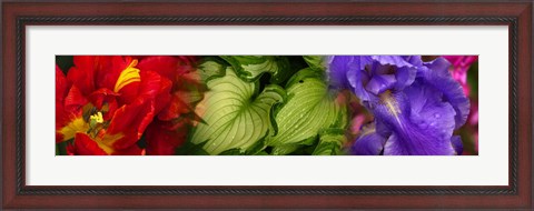 Framed Tulip and Iris flowers Print