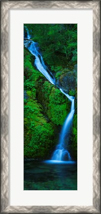 Framed Waterfall in a forest, Sullivan Falls, Opal Creek Wilderness, Oregon, USA Print