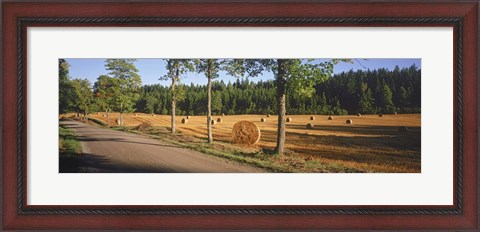 Framed Hay bales in a field, Flens, Sweden Print
