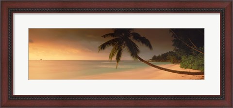 Framed Silhouette of a palm tree on the beach at sunset, Anse Severe, La Digue Island, Seychelles Print