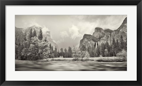 Framed River flowing through a forest, Merced River, Yosemite Valley, Yosemite National Park, California, USA Print