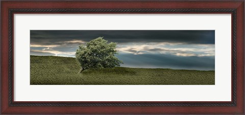 Framed Tree swaying in storm Print