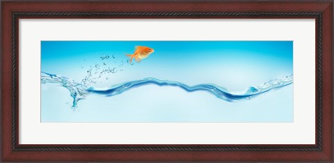 Framed Goldfish jumping out of water Print