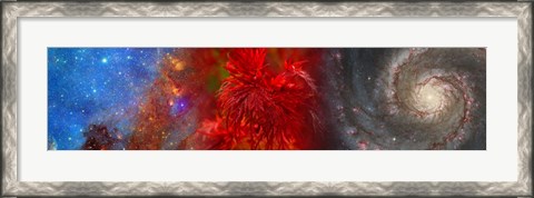 Framed Hubble galaxy with red maple foliage Print