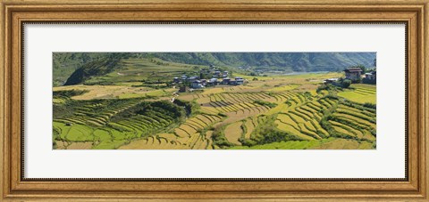 Framed Rice terraced fields and houses in the mountains, Punakha, Bhutan Print