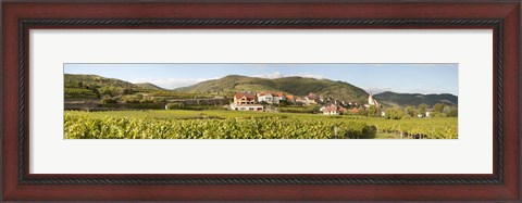 Framed Crop in a vineyard, Weissenkirchen, Wachau, Austria Print