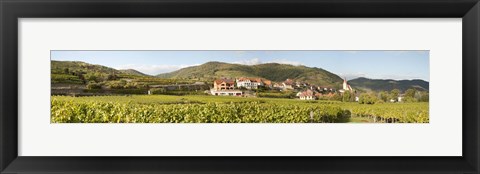 Framed Crop in a vineyard, Weissenkirchen, Wachau, Austria Print