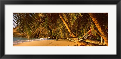 Framed Hammock between two palm trees, Seychelles Print