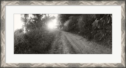 Framed Dirt road through a forest, Chiang Mai Province, Thailand (black and white) Print