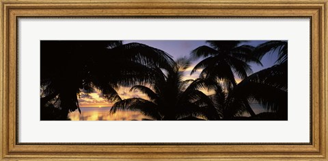 Framed Silhouette of palm trees at sunset, Aitutaki, Cook Islands Print