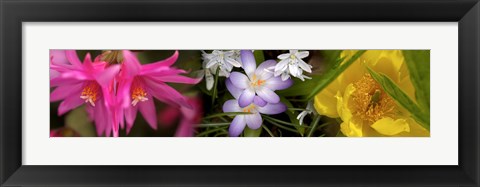 Framed Flowers in pastel colors Print