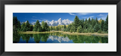 Framed Reflection of trees in water with mountains, Schwabachers Landing, Grand Teton, Grand Teton National Park, Wyoming, USA Print