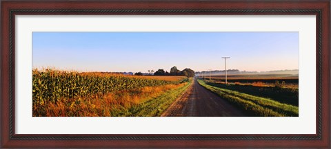 Framed Road Along Rural Cornfield, Illinois, USA Print