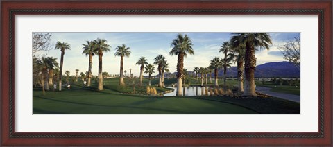 Framed Palm trees in a golf course, Desert Springs Golf Course, Palm Springs, Riverside County, California, USA Print